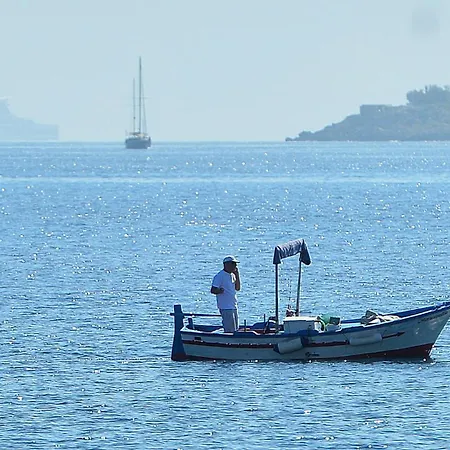 Adams * Mondello